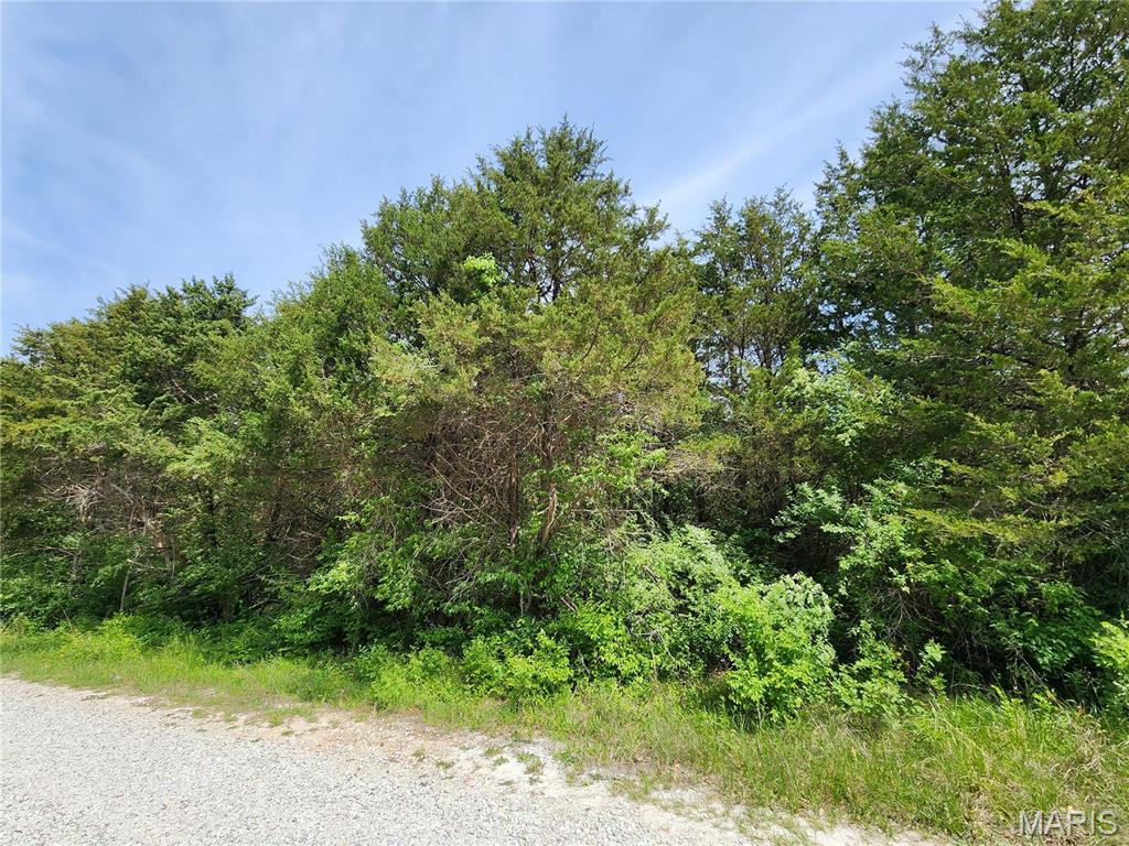 Catawissa, Missouri 63015, United States, ,Land,Active,66134