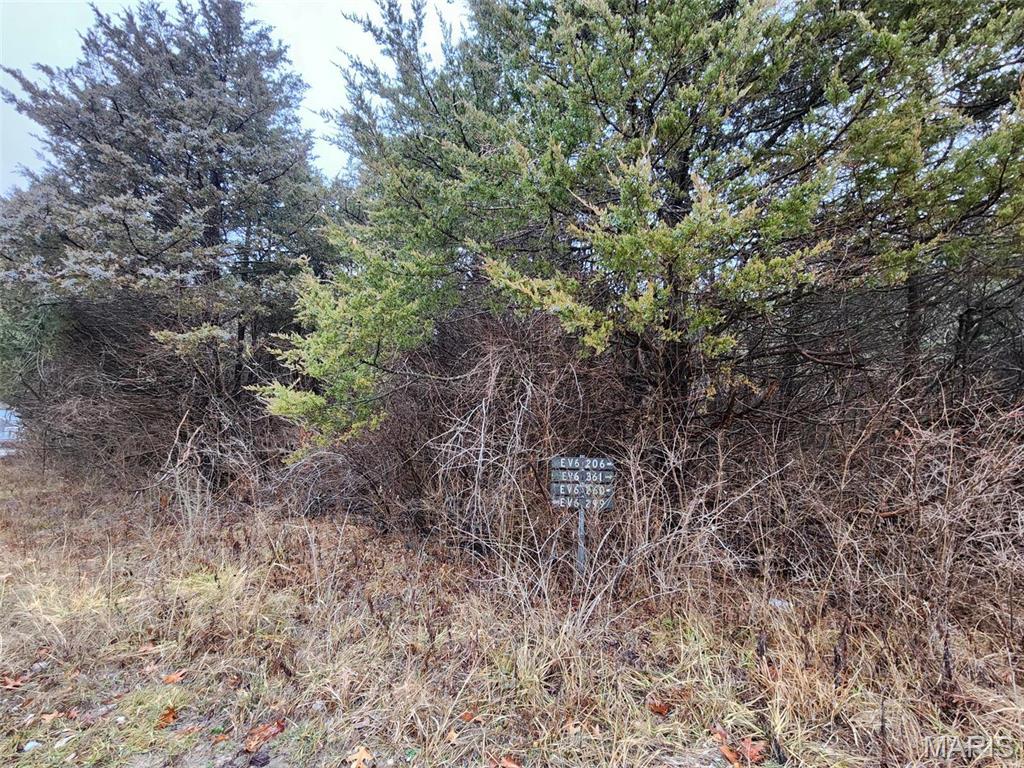 Catawissa, Missouri 63015, United States, ,Land,Active,66134