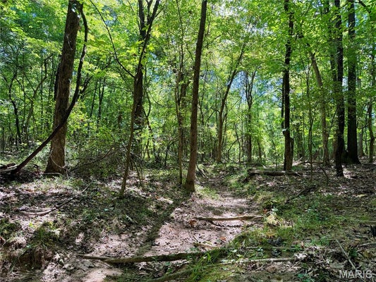 19137 COUNTY ROAD 268, BLOOMFIELD, MO 63825 - Image 8aabbc16dbab1b2032f295f4a673bcde/3067465064
