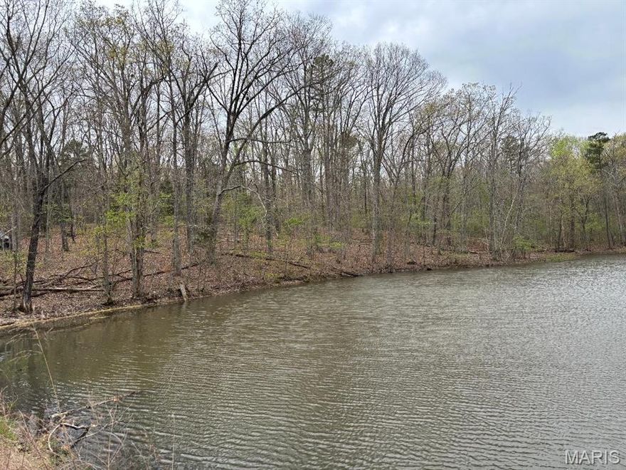 60 Acres (+/-) with nice pond! Very private setting. Great recreational property or build your retreat. Nice hardwoods with some pine trees. More land is available. Location is just outside of Potosi. Great weekend getaway property. NOTE: Highway 8 takes you to the private road where the property is. A parcel ID & tax amount will be determined by Assessor after a closing. A 911 address will be assigned (if requested) after closing. NOTE Duplicate Farm Listing MLS #26020691.