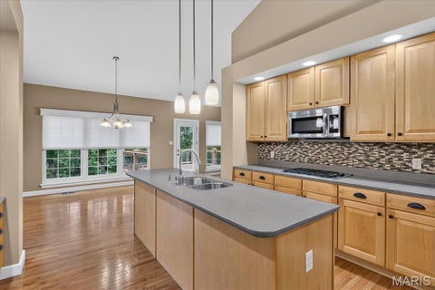 Tiny photo for 766 Southbrook Forest Court, St Charles, MO 63304 (MLS # 26039557)