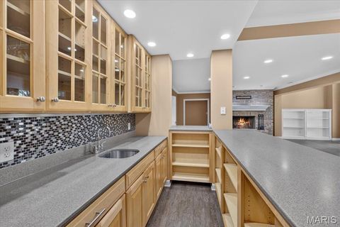 Tiny photo for 766 Southbrook Forest Court, St Charles, MO 63304 (MLS # 26039557)