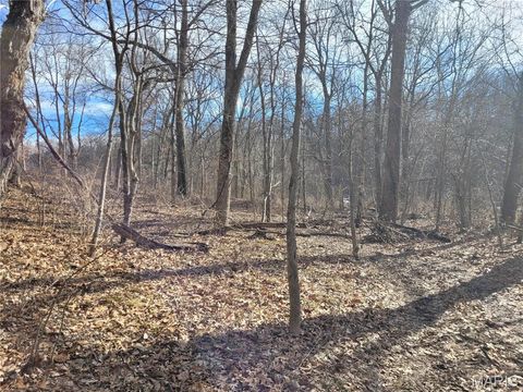 Tiny photo for 200 Big Creek Valley Drive, Troy, MO 63379 (MLS # 25011708)