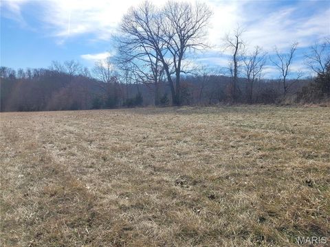 Tiny photo for 200 Big Creek Valley Drive, Troy, MO 63379 (MLS # 25011708)