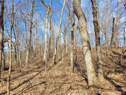 Tiny photo for 200 Big Creek Valley Drive, Troy, MO 63379 (MLS # 25011708)