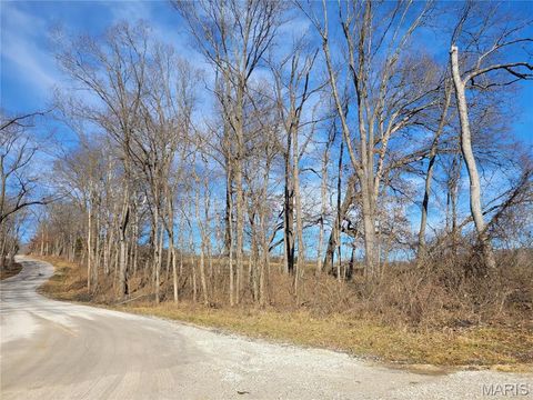 Tiny photo for 200 Big Creek Valley Drive, Troy, MO 63379 (MLS # 25011708)