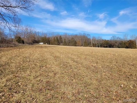 Tiny photo for 200 Big Creek Valley Drive, Troy, MO 63379 (MLS # 25011708)