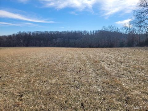 Photo of 200 Big Creek Valley Drive, Troy, MO 63379 (MLS # 25011708)