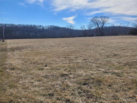 Tiny photo for 200 Big Creek Valley Drive, Troy, MO 63379 (MLS # 25011708)