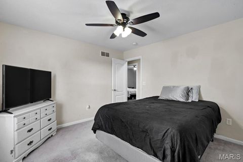 Tiny photo for 117 Hickory Trails Drive, Wright City, MO 63390 (MLS # 26026341)