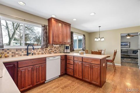 Tiny photo for 902 Rusticmanor Circle, Ballwin, MO 63011 (MLS # 25080104)