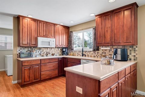 Tiny photo for 902 Rusticmanor Circle, Ballwin, MO 63011 (MLS # 25080104)