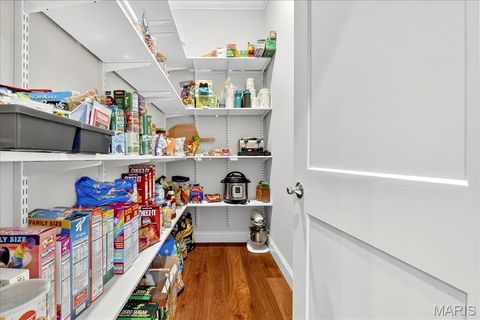 Tiny photo for 10135 Fieldcrest Lane, St Louis, MO 63124 (MLS # 25068625)