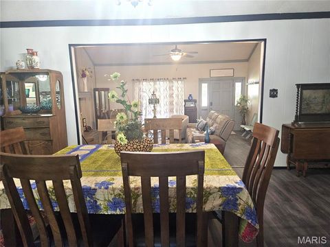 Tiny photo for 4 S Martin Street, Salem, MO 65560 (MLS # 26029555)