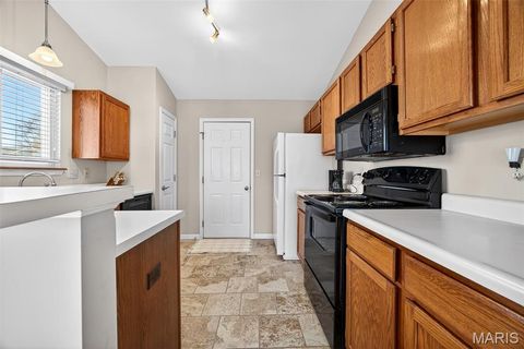 Tiny photo for 16090 Nantucket Island Drive, Wildwood, MO 63040 (MLS # 25082625)