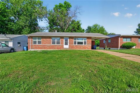 Photo of 9925 Glen Owen Drive, St Louis, MO 63136 (MLS # 26027761)