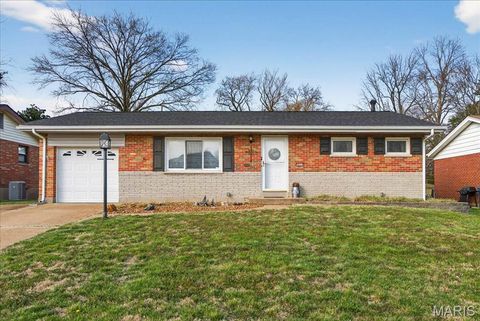 Photo of 9831 Lindhall Lane, Unincorporated, MO 63123 (MLS # 26017592)