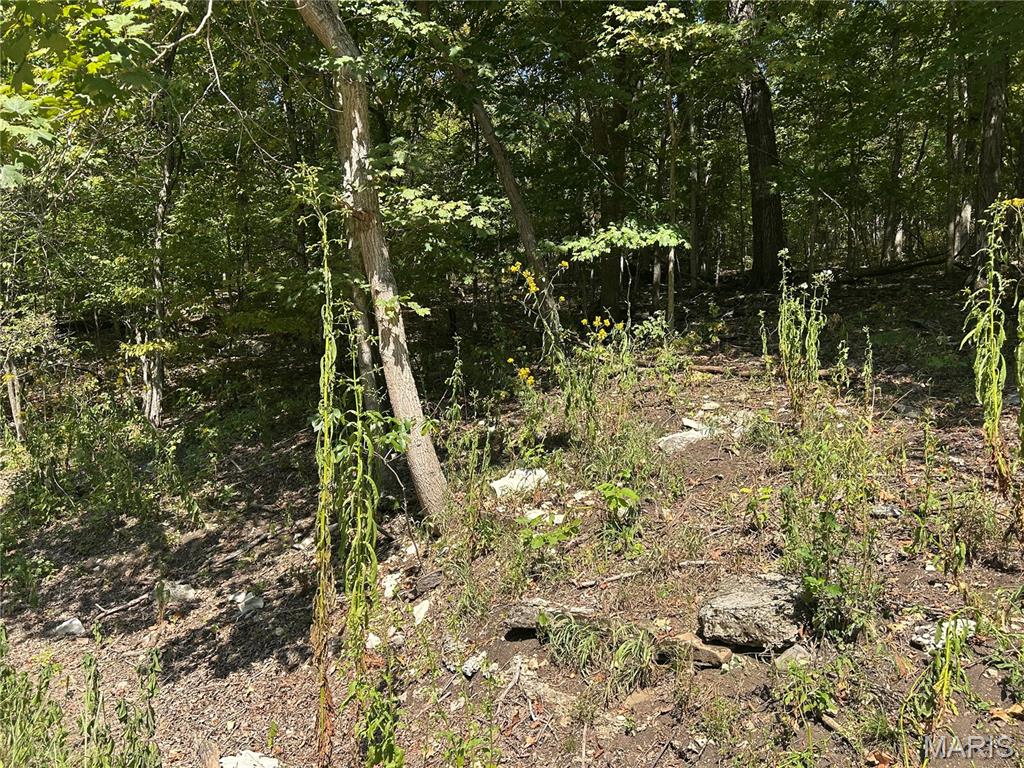 2000 Lot 3 Crossroads Road