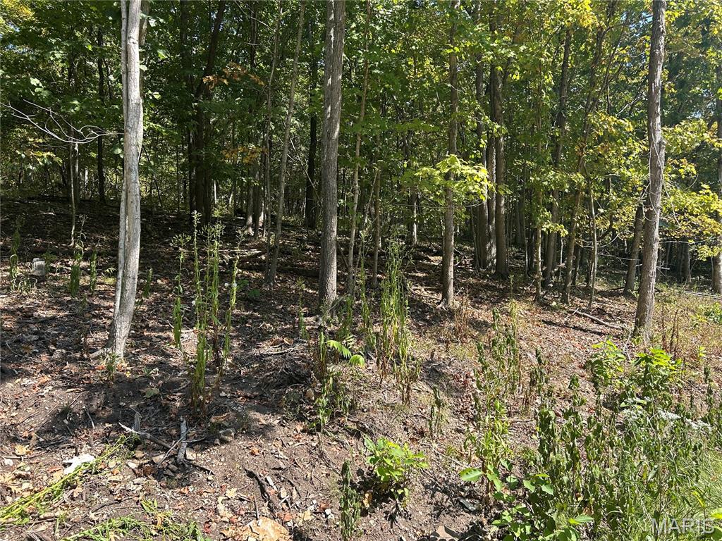 2000 Lot 3 Crossroads Road