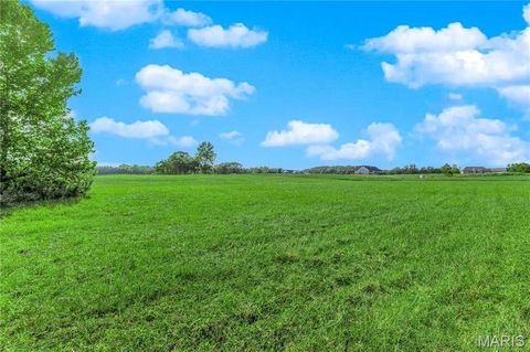 Tiny photo for 10 Gallant Fox Dr, Troy, MO 63379 (MLS # 24068253)