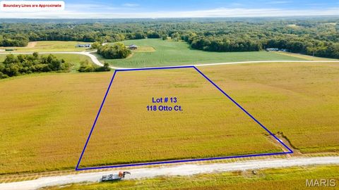 Photo of 118 Otto Court, Silex, MO 63377 (MLS # 26020410)