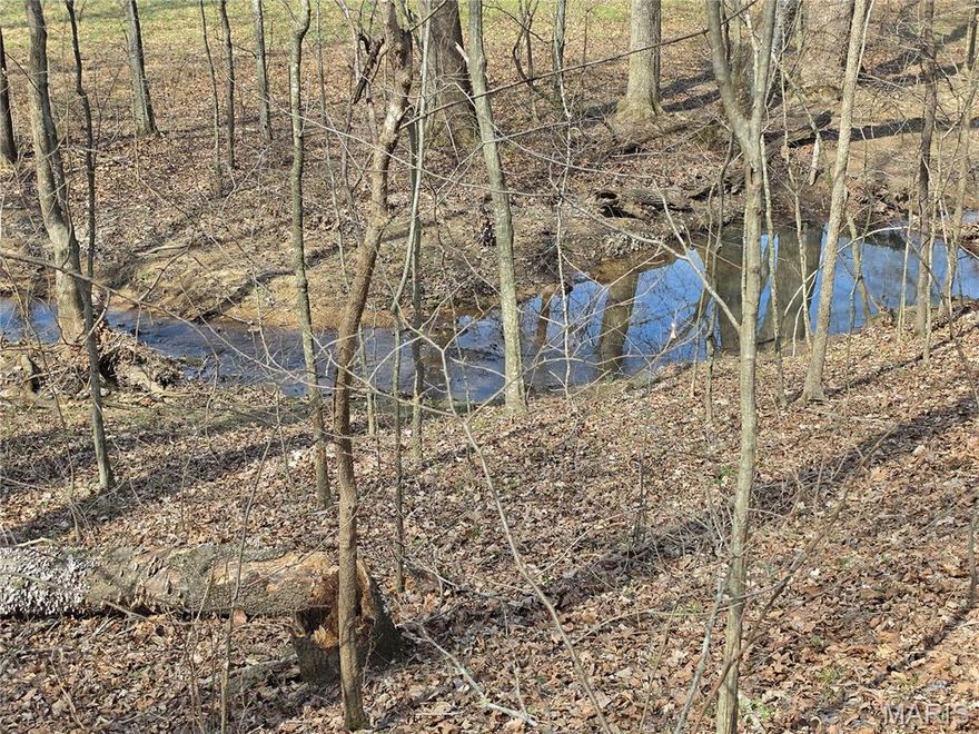 Escape to this 21 acre wooded retreat. Complete with pond and creek. Ideal for hunting deer and turkey, and a perfect place to build your dream home. Endless possibilities. Agent owned property.