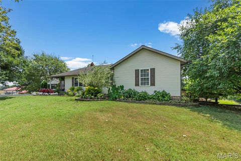 Tiny photo for 16313 State Highway K, Bloomfield, MO 63825 (MLS # 25067361)