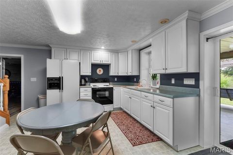 Tiny photo for 16313 State Highway K, Bloomfield, MO 63825 (MLS # 25067361)