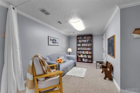 Tiny photo for 16313 State Highway K, Bloomfield, MO 63825 (MLS # 25067361)