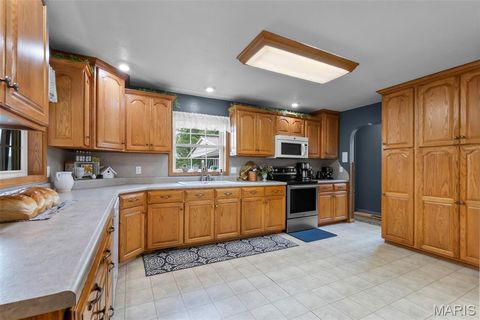 Tiny photo for 16313 State Highway K, Bloomfield, MO 63825 (MLS # 25067361)