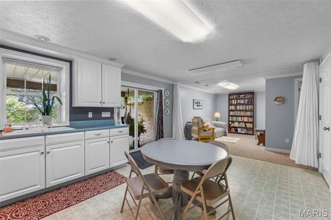 Tiny photo for 16313 State Highway K, Bloomfield, MO 63825 (MLS # 25067361)