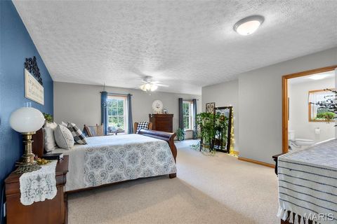 Tiny photo for 16313 State Highway K, Bloomfield, MO 63825 (MLS # 25067361)