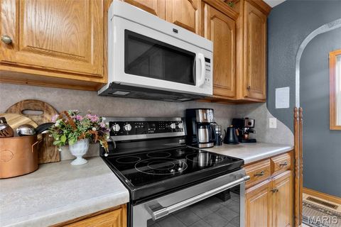 Tiny photo for 16313 State Highway K, Bloomfield, MO 63825 (MLS # 25067361)