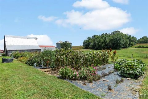 Tiny photo for 16313 State Highway K, Bloomfield, MO 63825 (MLS # 25067361)