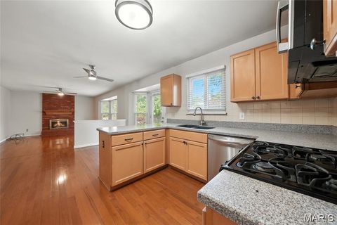 Tiny photo for 1043 Oakwood Farms Lane Ln, Ballwin, MO 63021 (MLS # 25078061)