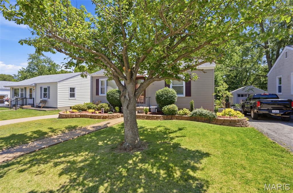 Buder Park Terrace - Residential