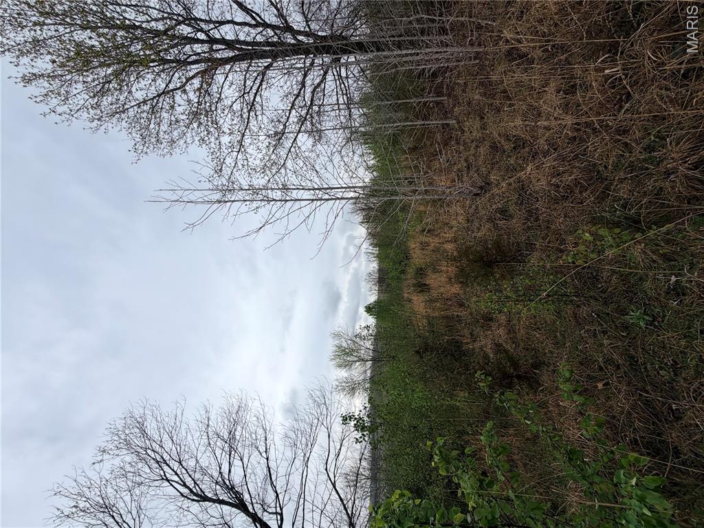 Hunter's Point - Land