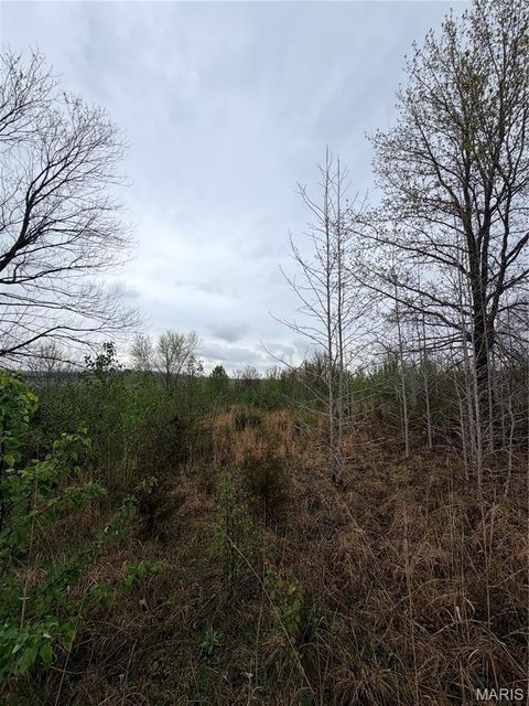 Tiny photo for 0 Salina Road, Waynesville, MO 65583 (MLS # 26019194)