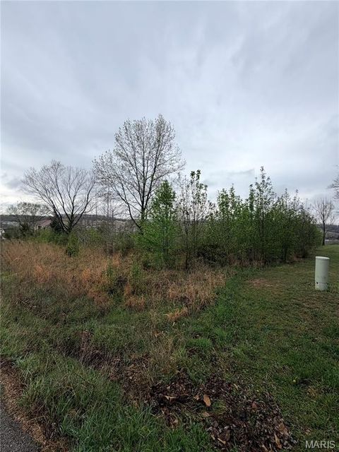 Tiny photo for 0 Salina Road, Waynesville, MO 65583 (MLS # 26019194)
