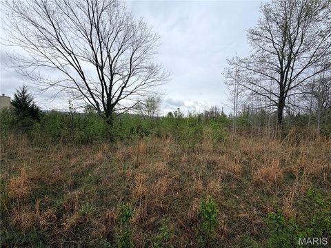 Photo of 0 Salina Road, Waynesville, MO 65583 (MLS # 26019194)