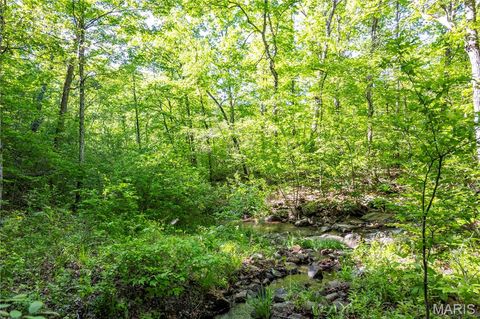 Tiny photo for 00 Highway AA, Annapolis, MO 63620 (MLS # 26026620)
