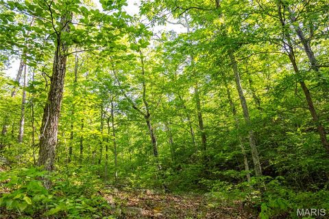 Tiny photo for 00 Highway AA, Annapolis, MO 63620 (MLS # 26026620)
