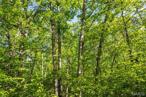 Tiny photo for 00 Highway AA, Annapolis, MO 63620 (MLS # 26026620)