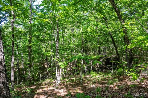 Tiny photo for 00 Highway AA, Annapolis, MO 63620 (MLS # 26026620)