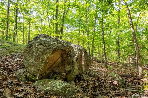 Tiny photo for 00 Highway AA, Annapolis, MO 63620 (MLS # 26026620)