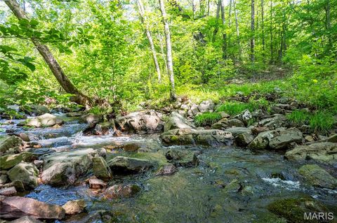 Tiny photo for 00 Highway AA, Annapolis, MO 63620 (MLS # 26026620)