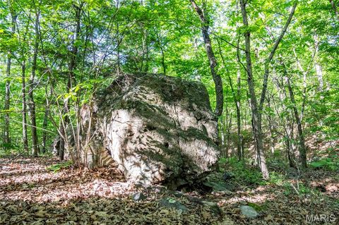 Tiny photo for 00 Highway AA, Annapolis, MO 63620 (MLS # 26026620)