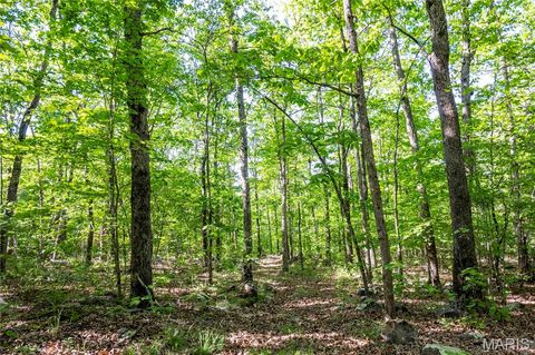 Tiny photo for 00 Highway AA, Annapolis, MO 63620 (MLS # 26026620)