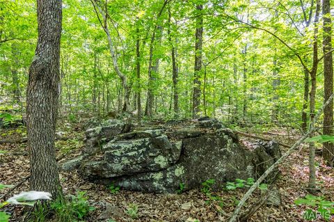 Tiny photo for 00 Highway AA, Annapolis, MO 63620 (MLS # 26026620)