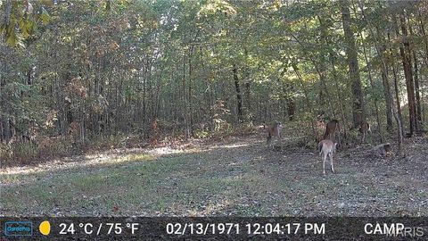 Tiny photo for 00 Highway AA, Annapolis, MO 63620 (MLS # 26026620)